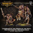 Protectorate Dragoon Champ Order of the Wall RESINBox Pack
